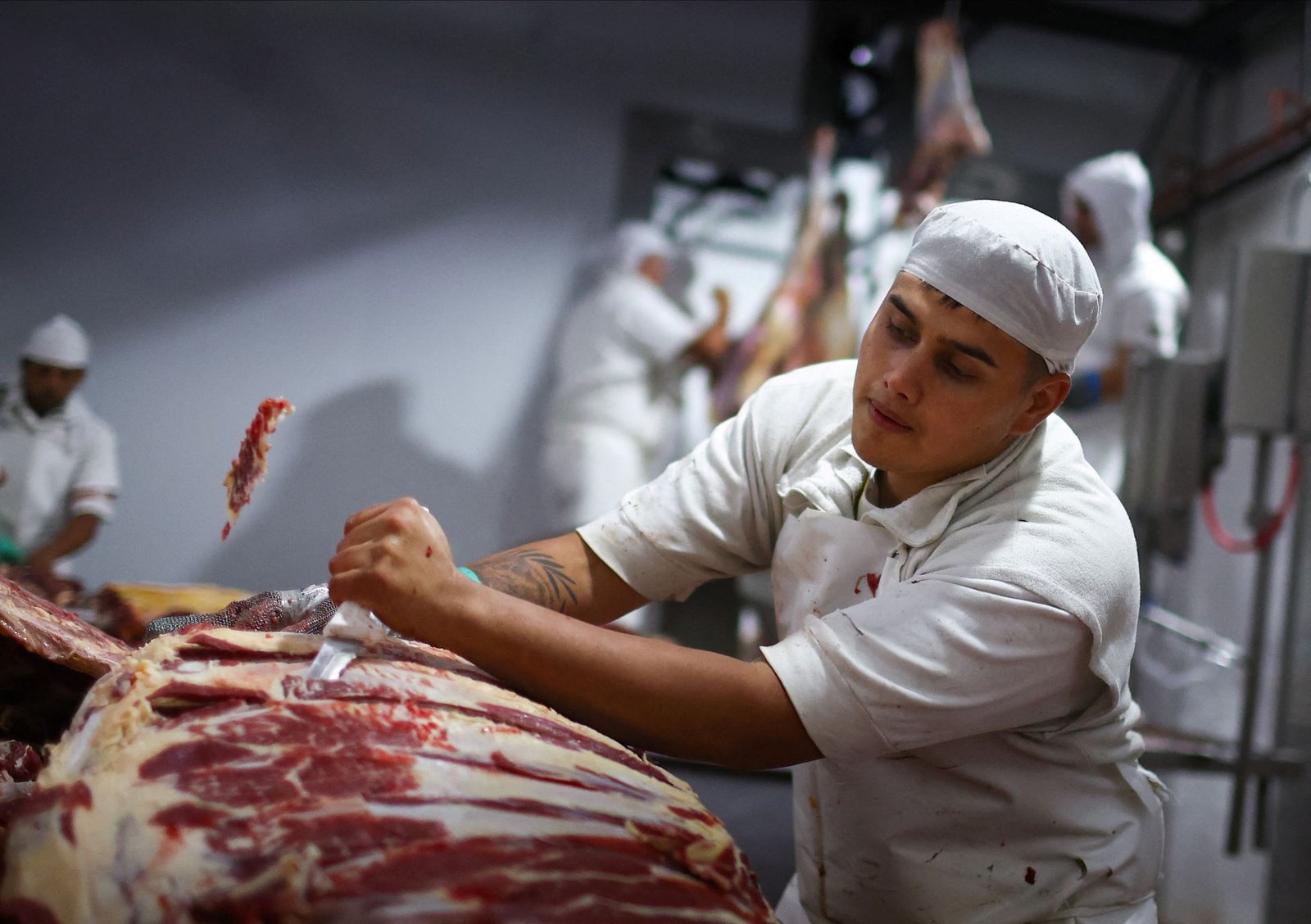 Carne-bovina.jpg