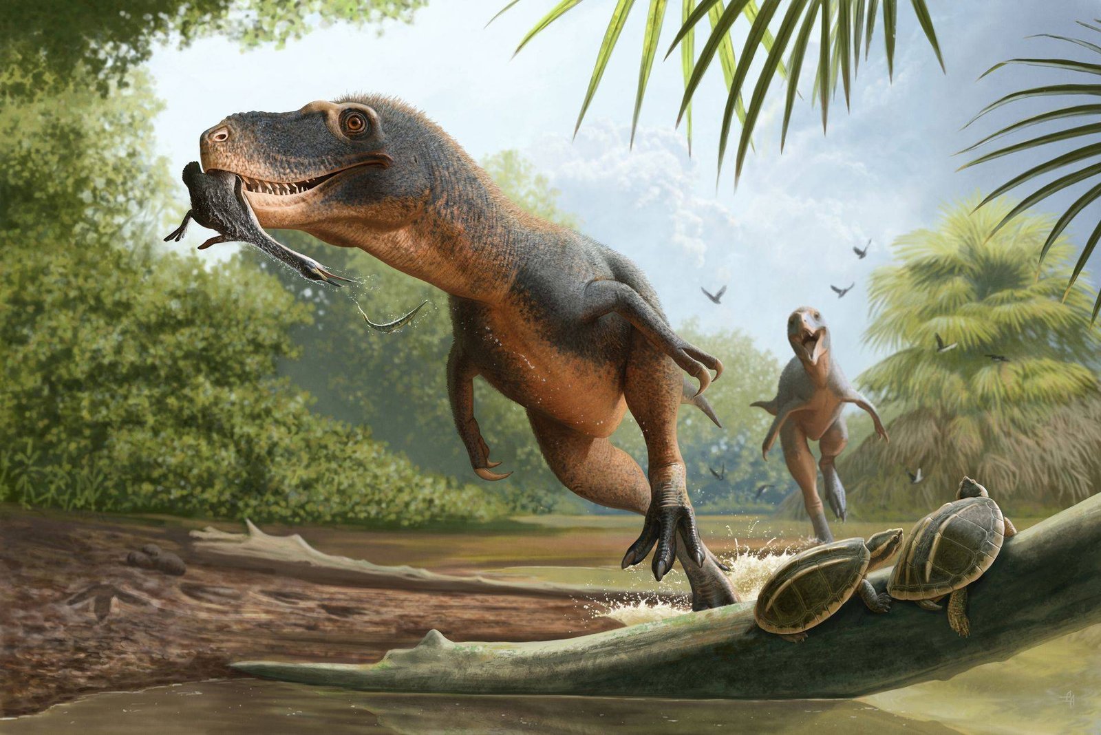 Dinossauros.jpg