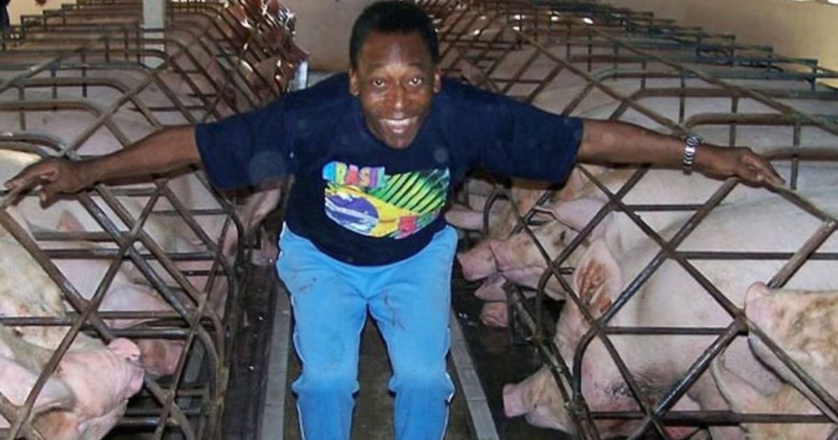 Pouca-gente-sabe-mas-o-Rei-do-Futebol-adorava-criar-porcos-e-andar-de-pedalinho-a-rotina-de-Pele-na.jpeg