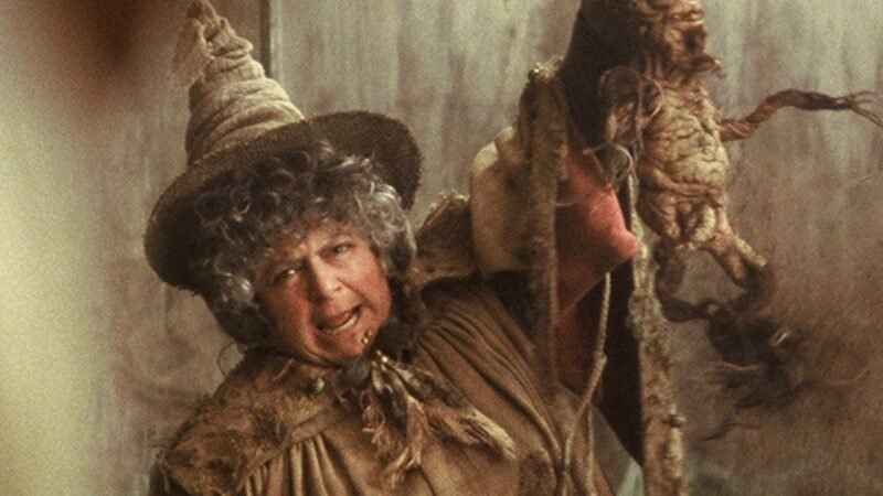 Professora-Sprout-800x450-1.jpg
