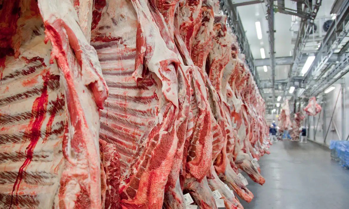 carne2.jpg