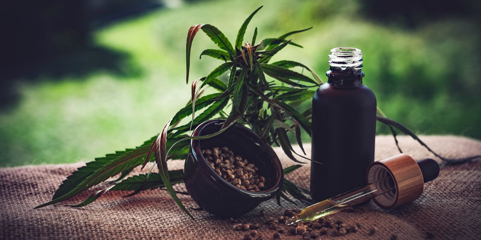 cbd-ol-4470099.jpg