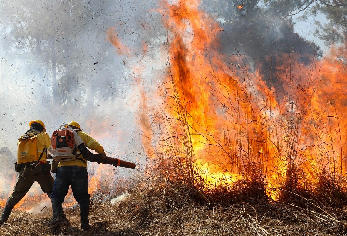 chamas-incendio-florestal.jpeg