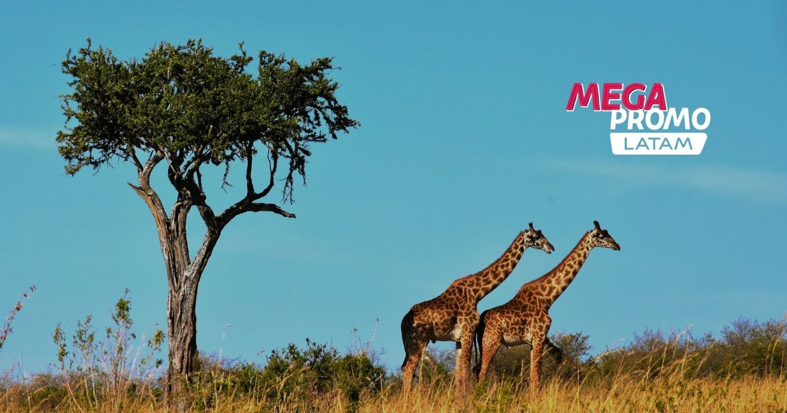mega-promo-latam-africa-do-sul-capa.jpg