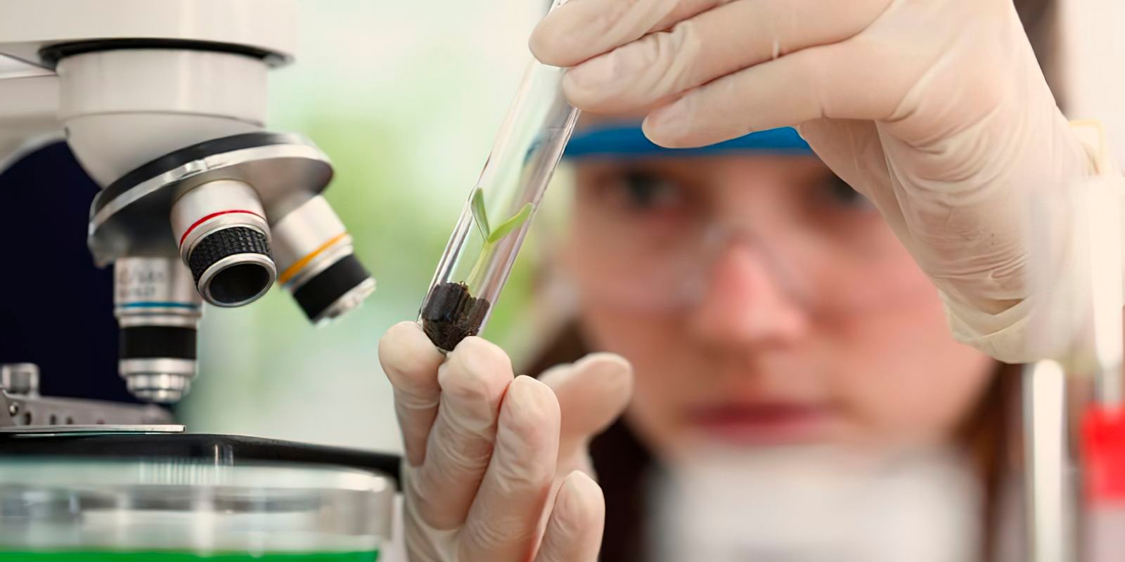 meninas_cientistas.jpg