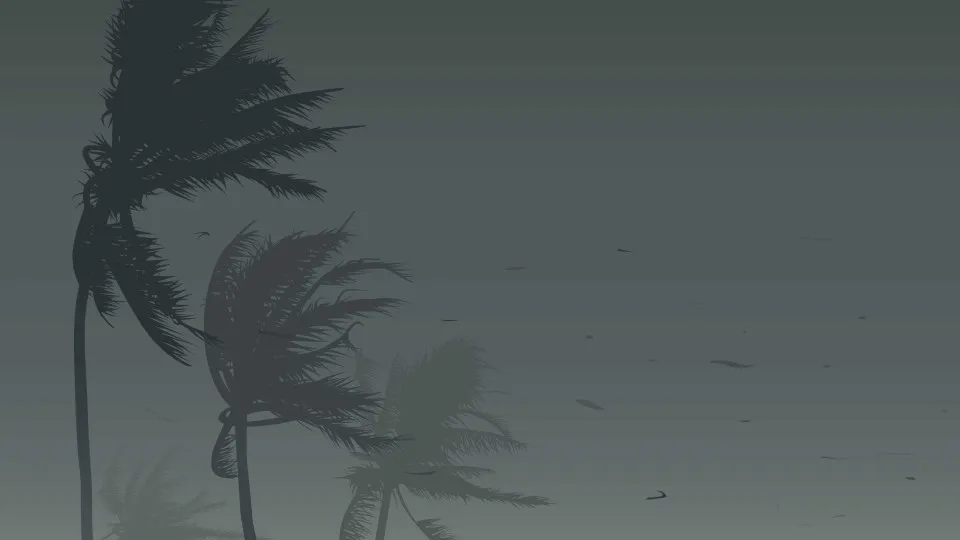 naom_595d25d1b37ae.webp.webp
