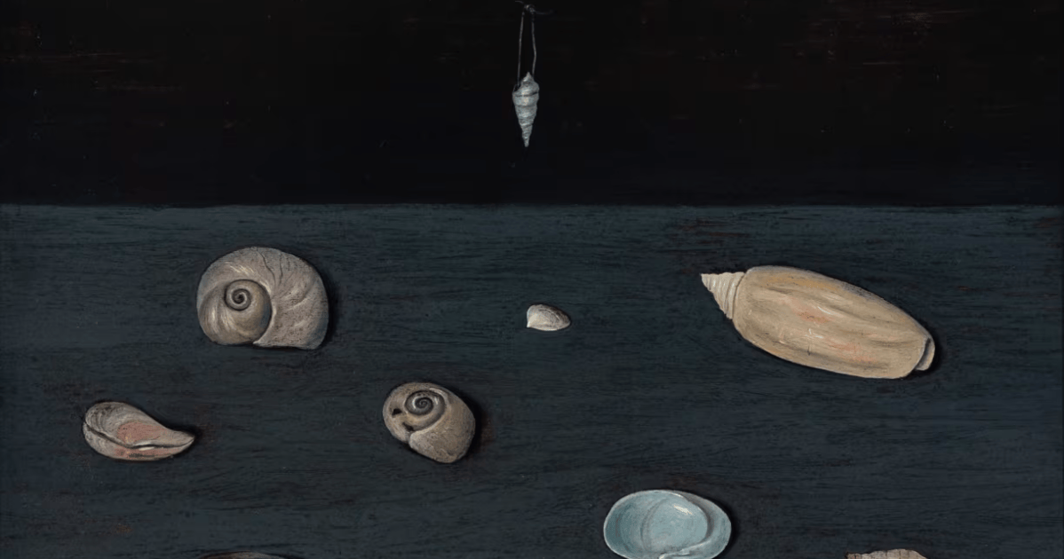 A-pintura-de-1951-de-Gertrude-Abercrombie-Alderman-Merriams-Shells.png