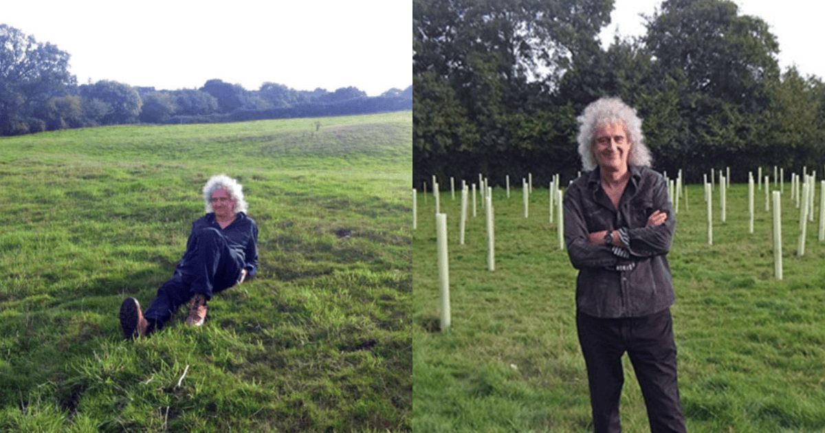 Brian-May-no-espaco-vazio-e-ao-lado-cercado-de-mudas-plantadas.png