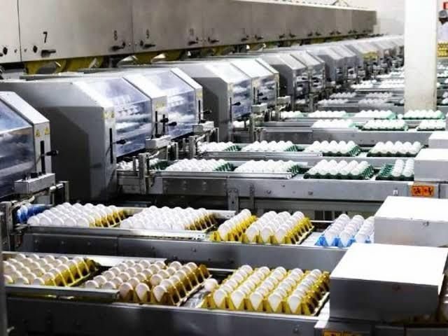 WhatsApp-Image-2026-06-22-at-16.26.06.jpeg