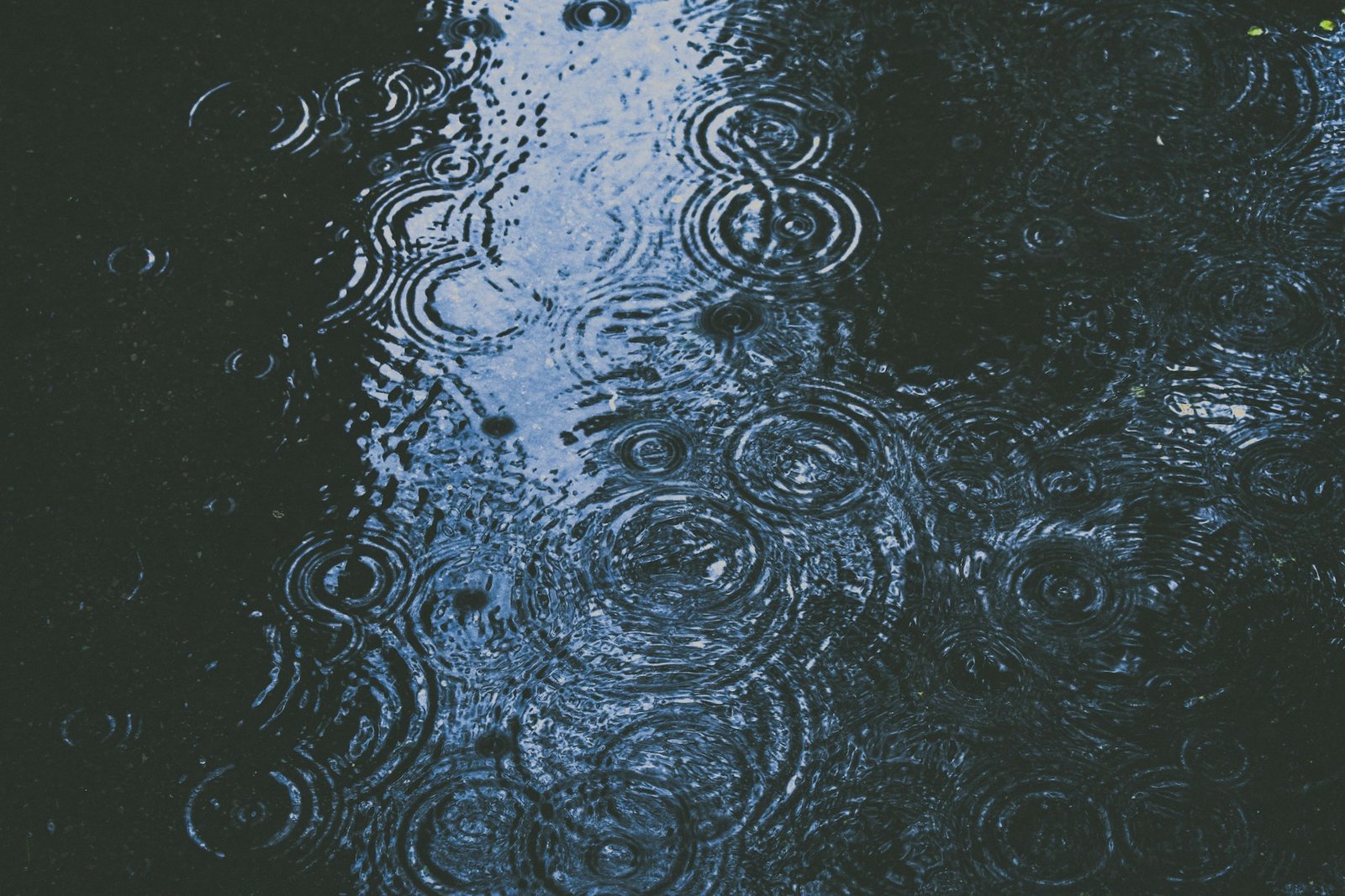 alex-dukhanov-ZxZQk7777R4-unsplash-1.jpg